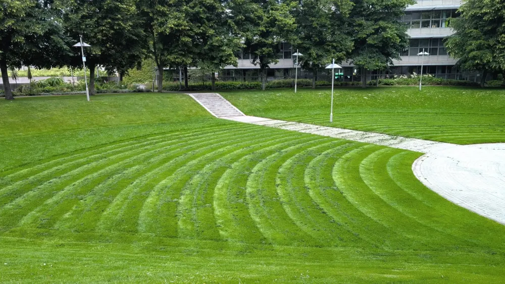Entretien espace verts près de Talais